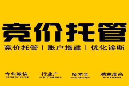 SEM托管优化实战：打造行业领先广告效果